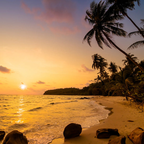 bougie de massage luxe [fleurs des îles]